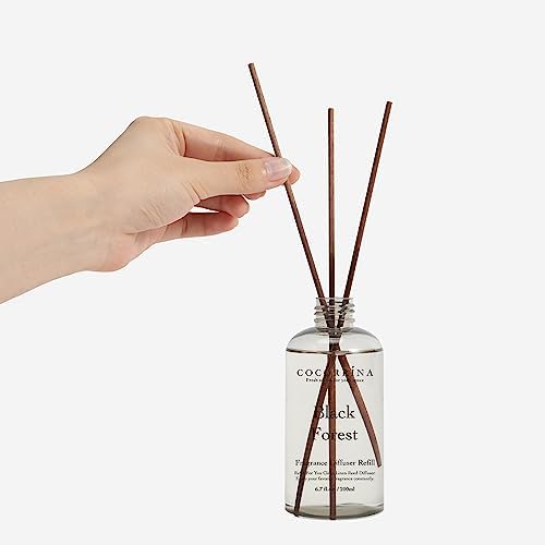 Cocorrína Refill - Black Forest Scented Reed Diffuser Oil with 8 Sticks, Home Fragrance for Bedroom, Bathroom, Oil Diffuser Home Décor, 6.7 oz. (200 ml) - Image 2