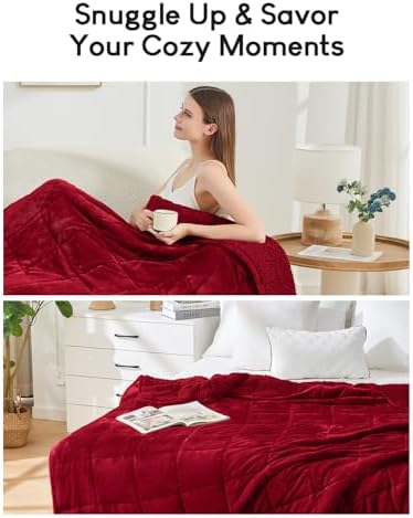 Cottonblue Sherpa Weighted Blanket for Adults 20lbs Queen Twin Size 60x80in - Image 6