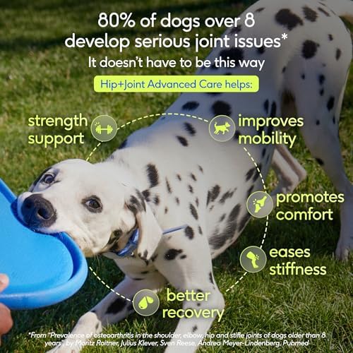 Native Pet Hip and Joint Supplement Dogs - Powder with UC-II Collagen and HMB - Senior and Large Breed Dog Joint Support - Made in USA - 30 Scoops - Image 2
