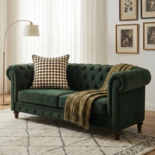 patdrea Designer Velvet Throw Pillow Cover,Set of 2,22"x22"-BrigittaC - Image 7