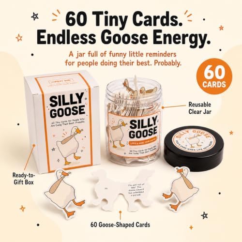 Miarita Positive Goose Jar, Emotional Cheer Up Support, Back to School Gifts for Girls Teacher, Birthday Gifts for Women Her Daughter Friend Teen Girl - Image 2