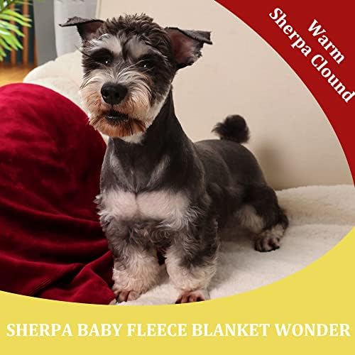 NANPIPER Baby Sherpa Blanket,Warm Toddler Throw Blanket,Soft Newborn Fleece Blanket for Winter (Wine Red,30x40 inches) - Image 6