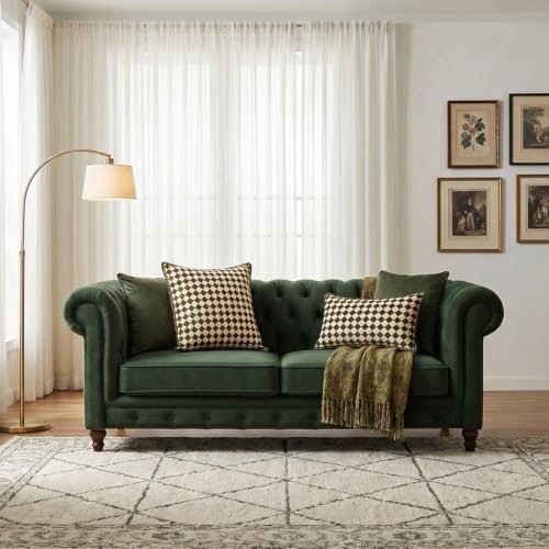 patdrea Designer Vintage Velvet Throw Pillow Cover,18"x18"-BrigittaC - Image 7