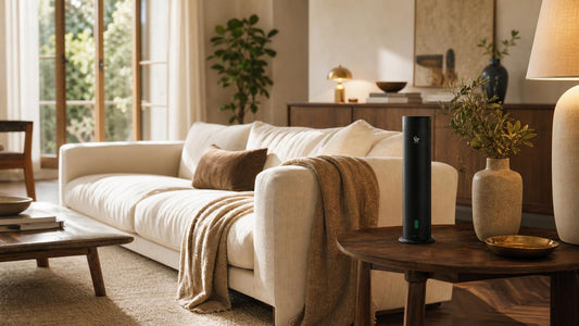 5 Simple Ways to Create a More Relaxing Home Environment 🏡🌿