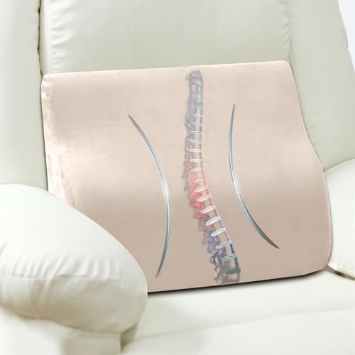 Lumbar Support Pillow for Recliner and Couch, Ergonomic Back Support Pillow by AHUAWA