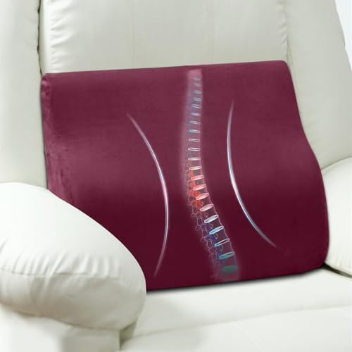 Lumbar Support Pillow for Recliner, Ergonomic Back Support Pillow by AHUAWA