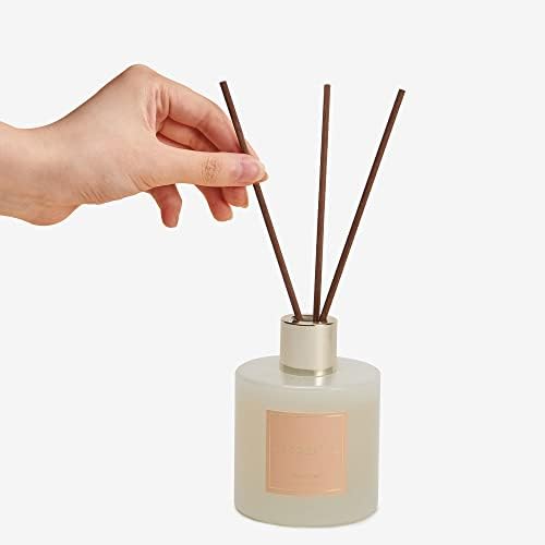Cocorrína Premium Reed Diffuser Set with Preserved Baby's Breath & Cotton Stick Coconut Lime | 6.7oz Scent Fragrance Oil Diffuser for Bedroom Bathroom Home Décor - Image 3