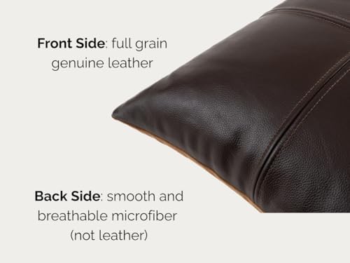Full Grain Leather Throw Pillow Cover (20" x 20") (Coffee) - Image 3