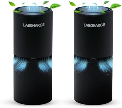 Lab Charge Small Ionic Air Purifier for Home & Bedroom – Silent HEPA Filter – Covers 250 Sq Ft - Free Cleaner for Pets, Hair, Smoke, Dust, Odors & Dander – Compact & Black Design - Pack of 2 by LabCharge