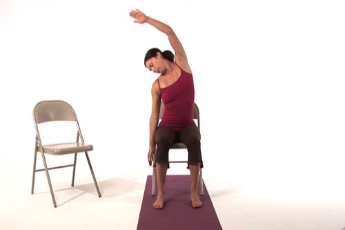 Yoga Therapy for Back Pain - Image 3