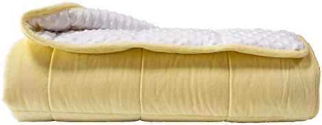 ALANSMA Reversible Weighted Blanket for All Season, Luxury Velvet, Warm and Cool, Adult 20Lb Yellow Weighted Blanket, Enjoy Sleeping Anywhere(Light Yellow,60"x80" 20lbs) by ALANSMA