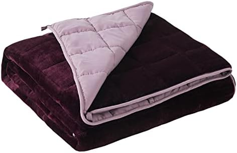 Satwip Weighted Blanket Queen Size 15lbs Fuzzy Warm Flannel Throw Blanket with Soft Breathable Sanded, 60 x 80 inches, Red Pink by Satwip