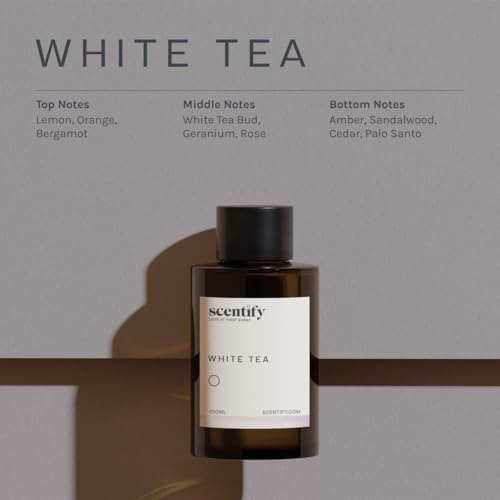 Scentify White Tea Aroma Oil Refill for Diffusers – Citrus, White Tea & Soft Florals, Amber Woods & Palo Santo – Luxury Aromatherapy Fragrance – 100ml / 3.38oz - Image 3