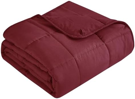 Topcee Weighted Blanket for Adults (15 lbs, 60" x 80") Queen Size Soft Cooling Heavy Blanket Sleeping, Apply to 130-160 lbs Body, Thick Breathable Blanket with Glass Bead, Easy Care by Topcee%E2%80%94ForYourGoodSleep