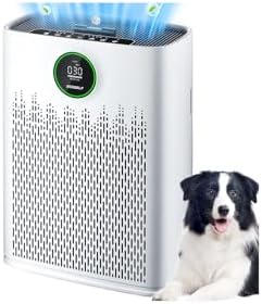 Air Purifiers for Home Large Room, Cover Up to 2400 Ft² with True HEPA Filter, Smart Mode, PM2.5 Air Quality Display, 22dB Sleep Mode, Aromatherapy with 360°Air Outlet, HAP603, White by ECOSELF