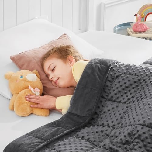 Weighted Blanket - 10 lbs Grey Minky Heavy Blanket - Small Size Breathable Lap Blanket(41"x60", 10 lbs) by HOSUKKO