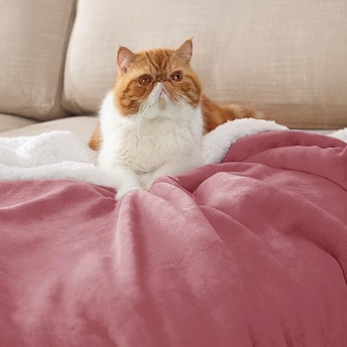 Bedsure GentleSoft Sherpa Fleece Twin Size Blanket for Couch, Non-Heated, Thick and Warm Throw for Girls and Women, Soft Fuzzy Plush Twin Blanket for Winter, Dusty Rose, 60x80 Inches - Image 2