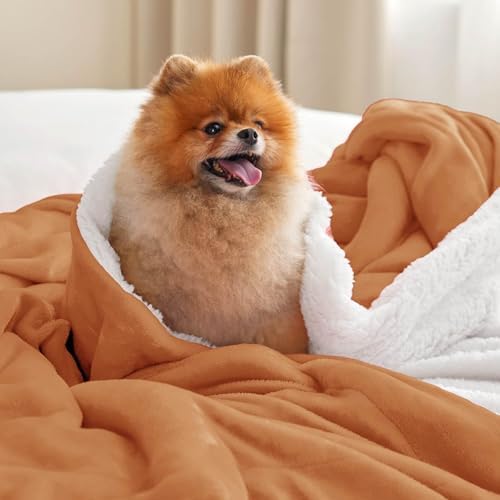 Bedsure GentleSoft Sherpa Fleece Blanket Queen Size for Bed, Non-Heated, Thick and Warm Throw for Women and Men, Soft Fuzzy Plush Queen Blanket for Fall, Burnt Orange, 90x90 Inches - Image 2