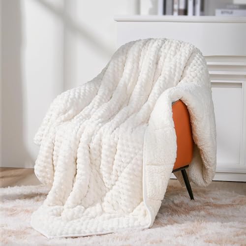 Topblan Weighted Blanket for Adults, 15lbs 60 x 80 Queen Size for Bed by Topblan