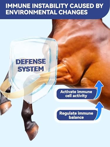 100-Day Supply Equine Body Repair Protein Supplement-Amino Acids Speed up Muscle Recovery After Exercise Promote Healthier Joints - Image 5