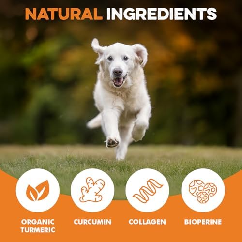 BRUTUS & BARNABY Turmeric for Dogs, Curcumin Joint Chews, 120 Count - Image 5