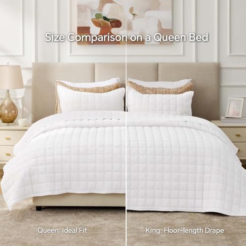 BEDELITE Velvet Quilt Set Queen Size, Luxury Velvet Comforter Bedding - Image 6