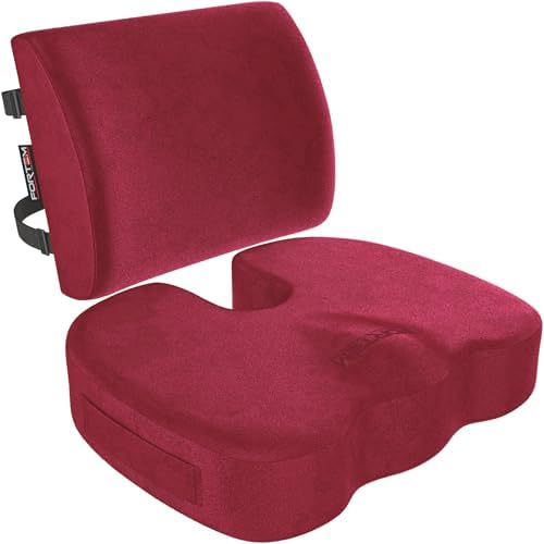 FORTEM Seat Cushion & Lumbar Support for Office Chair, Wheelchair, Car by FORTEM