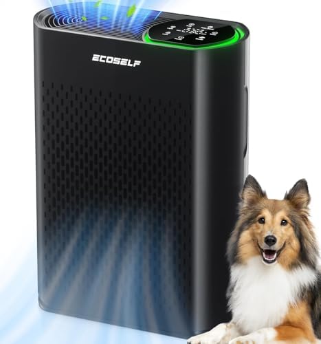 Air Purifier for Large Room, Cleans 2,400 ft² in 30 Mins, 3-Stage True HEPA, 360° Airflow, Large Touch Display Control, Real-Time Air Quality (PM2.5) Display, Ultra-Quiet 20dB Sleep Mode, HAP602 Black by ECOSELF