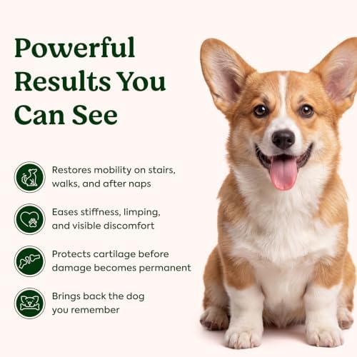 Hip & Joint Supplement for Dogs – Soft Chews for Joint Mobility - Image 3