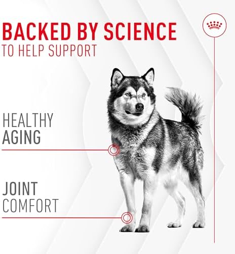 Royal Canin Joint Dog Supplement Soft Chews for Adult Dogs, 60 Count (Pack of 2) - Image 3