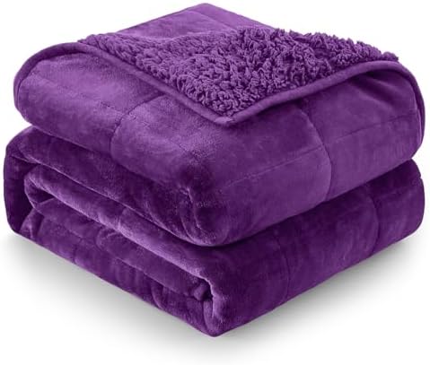 Cottonblue Weighted Blanket 15 lbs Queen Size, Flannel Shaggy Sherpa Weighted Blanket for Adults Comfortable Weighted Blankets for Calming and Relax, Bed Sofa Heavy Blankets, 60x80 inches, Purple by Cottonblue