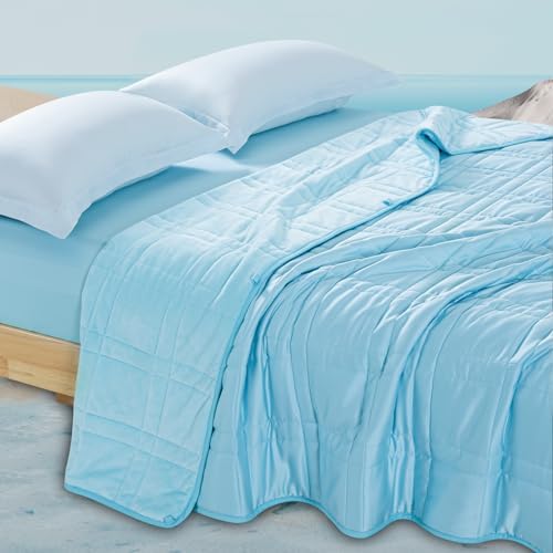 Weighted Blanket King Size 25lbs(88''x104'', Dual-Sided), Reversible King Weighted Blanket with Cozy Warm Velvet & Cooling Tencel Fabric for Adults & Couple All Season - Carry Bag Included, Lake Blue by OMYSTYLE