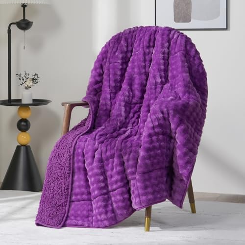 Cottonblue Weighted Blanket 15lbs for Adults Queen Size 60"x80" Soft Sherpa by Cottonblue
