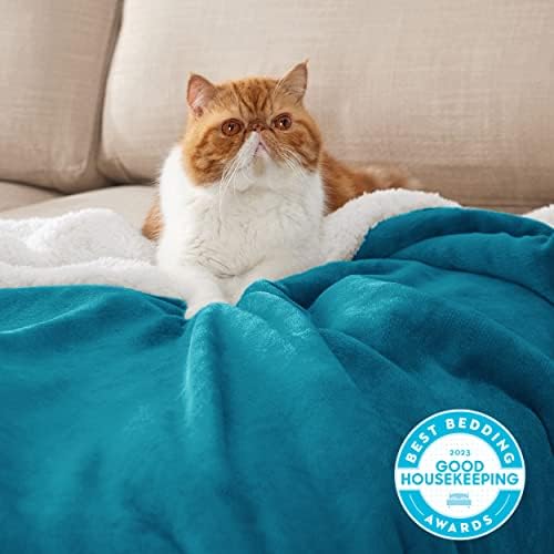 Bedsure GentleSoft Sherpa Fleece Blanket Queen Size for Bed, Non-Heated, Thick and Warm Throw for Women and Men, Soft Fuzzy Plush Queen Blanket for Winter, Teal, 90x90 Inches - Image 2