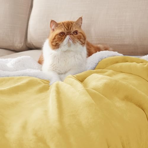 Bedsure GentleSoft Sherpa Fleece Blanket Queen Size for Bed, Non-Heated, Thick and Warm Throw for Women and Men, Soft Fuzzy Plush Queen Blanket for Fall, Yellow, 90x90 Inches - Image 2