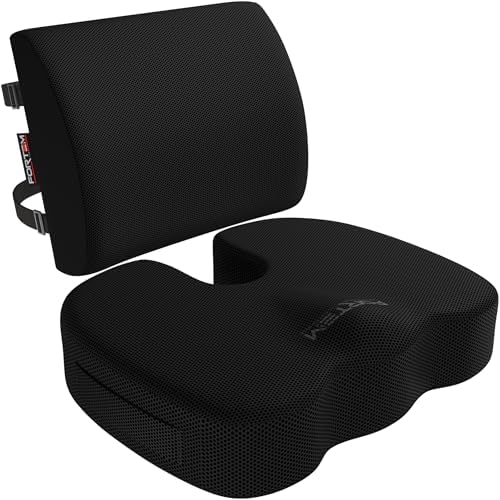 FORTEM Seat Cushion & Lumbar Support for Office Chair, Wheelchair, Car by FORTEM
