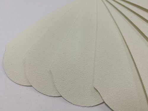 180 GRIT Stainless Steel Pedicure File Refill Pads, 60 Count (180 GRIT White) by LEDMask