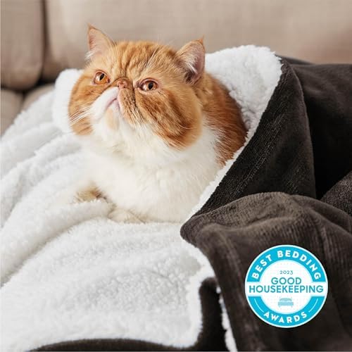 Bedsure GentleSoft Sherpa Fleece Twin Size Blanket for Couch, Non-Heated, Thick and Warm Throw for Women and Men, Soft Fuzzy Plush Twin Blanket for Winter, Brown, 60x80 Inches - Image 2