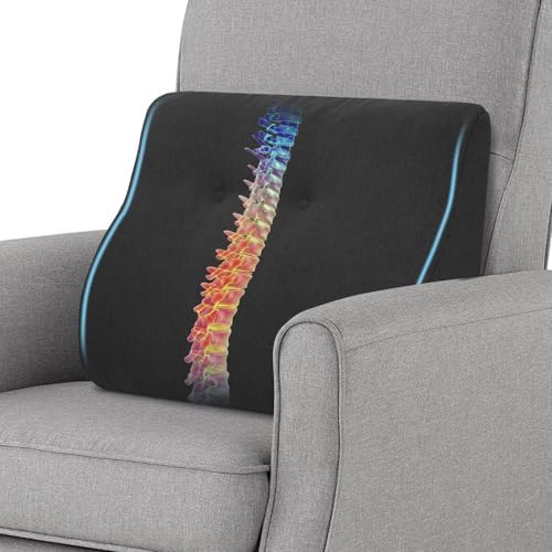 baibu Patented Dual-Layer Memory Foam Lumbar Pillow for Recliner, Black by baibu