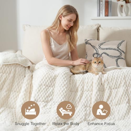 Cottonblue Fleece Weighted Blanket for Adult Queen Size 15 lbs 60"x80" Soft - Image 2