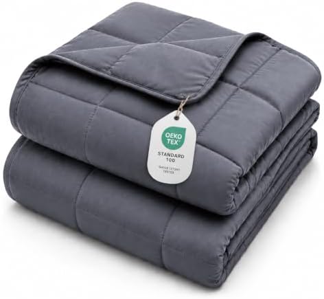 L'AGRATY Weighted Blanket for Adults 25lbs （Queen Size, 60"x80"） Cooling Heavy Blanket Microfiber Breathable Big Weighted Throw Blanket for Summer Fall Winter, Grey by LAGRATY