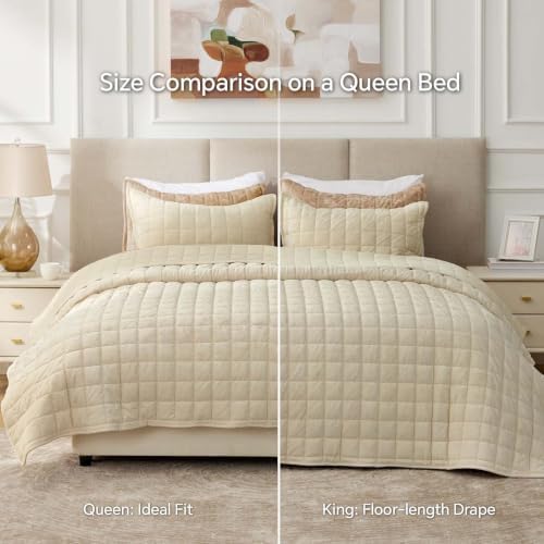 BEDELITE Velvet Quilt Set Queen Size, Luxury Velvet Comforter Bedding - Image 6