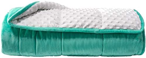 ALANSMA Reversible Weighted Blanket for All Season, Luxury Velvet, Warm and Cool, Adult 20Lb Green Weighted Blanket, Enjoy Sleeping Anywhere(Light Green,60"x80" 20lbs) by ALANSMA