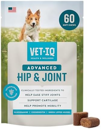 VetIQ Advanced Hip & Joint Chews, 60 Ct Chicken Flavor, Glucosamine for Dogs, Hip and Joint Supplement with Omega 3, Chondroitin, MSM, Green Lipped Mussel, Increases Mobility, Maintains Muscles by VetIQHealthSupplements