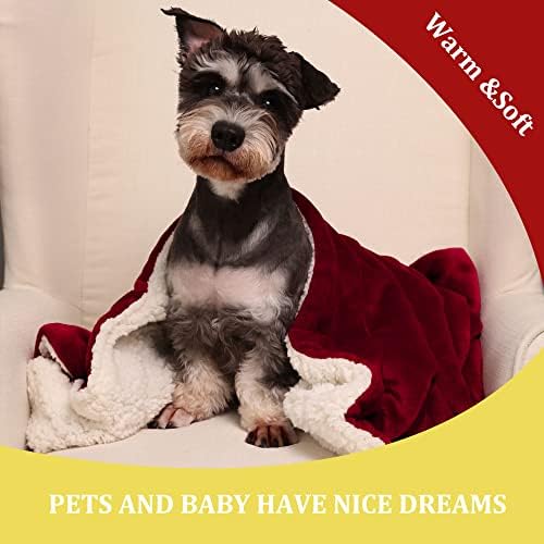 NANPIPER Baby Sherpa Blanket,Warm Toddler Throw Blanket,Soft Newborn Fleece Blanket for Winter (Wine Red,30x40 inches) - Image 2