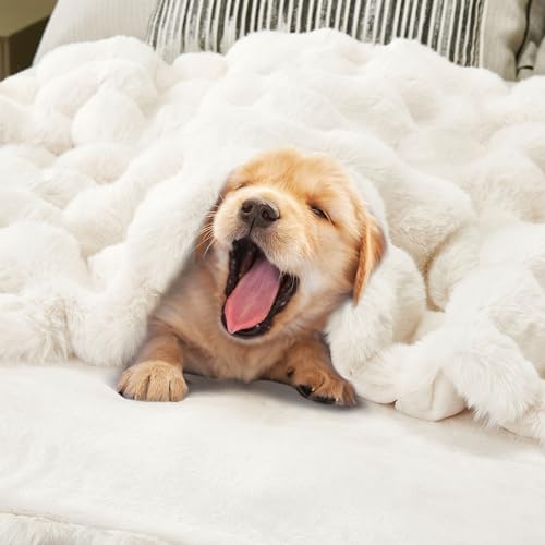 DREAMNINE Soft Faux Bubble Rabbit Fur Blanket Twin Size, Thick Cozy Decorative Warm Fuzzy Fur Blanket for Bed Couch Sofa Chair Bedroom Living Room Dorm Gift, 60 * 70 Inches, Cream White - Image 6