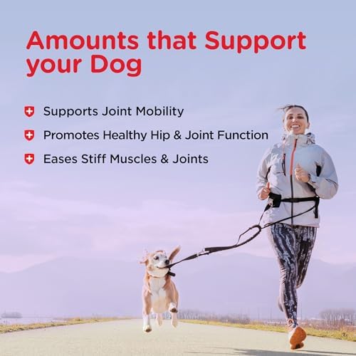 Nutri-Vet Hip & Joint Dog Biscuits, Dog Treats, 300mg Glucosamine, 6 lb Bag - Image 4