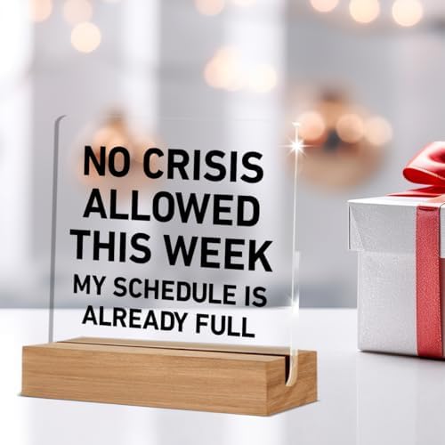 Boss Day Gifts, Cool Gifts for Bosses Women Men, Funny Boss Gift - Image 5