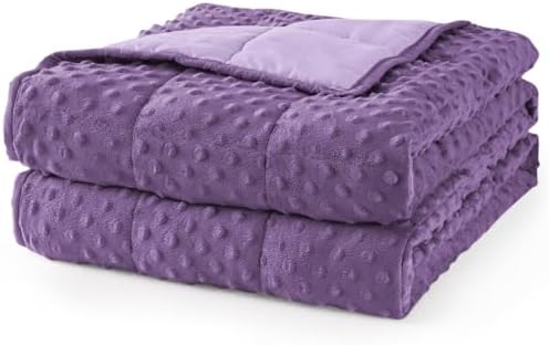 Mr. Sandman Weighted Blanket for Adults, Queen Size 15 lbs, 60 x 80 Inches by MrSandman
