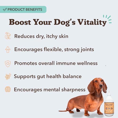 Natural Dog Company Wild Alaskan Salmon Oil for Dogs - Bulk Omega 3 Fish Oil Supplements with EPA & DHA, Half Gallon Value Size for Multi-Dog Homes, Skin Coat Joint & Heart Support, 64 oz - Image 2